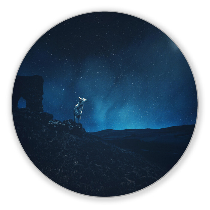 Коврик для мышки круглый WOLF(D) фото