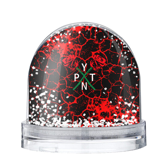 Снежный шар ТИКТОКЕР - PAYTON MOORMEIE. фото