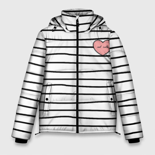 Мужская зимняя куртка 3D Полоски с сердцем фото