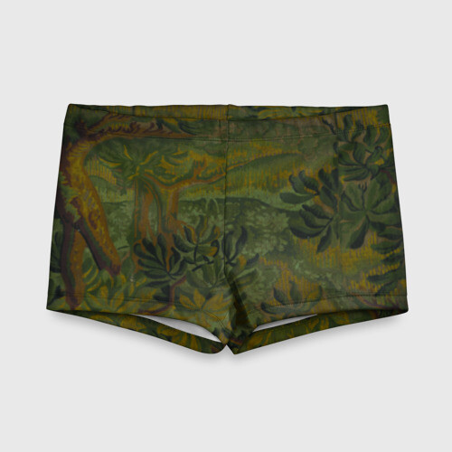 Детские купальные плавки 3D Зеркальный лес (Mirror forest) фото