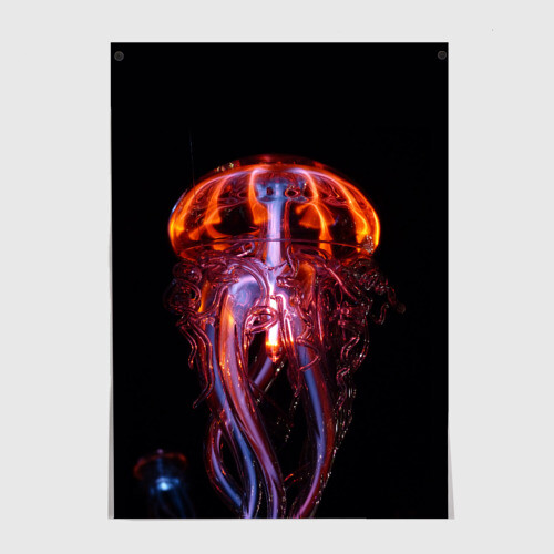 Постер Медуза | Jellyfish фото